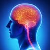 Обложка канала @physiologyeasy