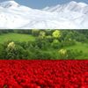 Обложка канала
