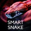 Обложка канала @smartsnakeknmu