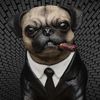 Обложка канала @pesetcetera