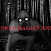 Обложка канала @mistica366