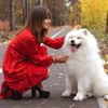Обложка канала @elyaproshopping
