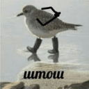 Обложка канала