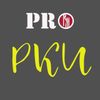 Обложка канала @prorki