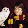 Обложка канала @english_with_harry_potter