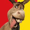 Обложка канала @donkeyhotbcn