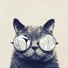 Обложка канала @bilderling