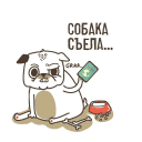 Обложка канала