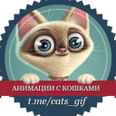 Обложка канала