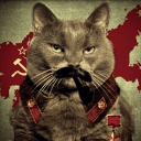 Обложка канала @apostolaki_the_cat