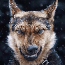 Обложка канала @Wolfworker