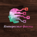 Обложка канала @sixinterestingfacts