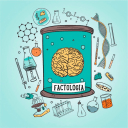 Обложка канала @ifactologia