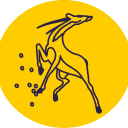 Обложка канала @golden_antelope