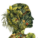 Обложка канала @text4brain