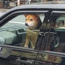 Обложка канала @japan_esketit