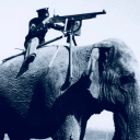 Обложка канала @history_in_pix