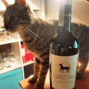 Обложка канала @wine27