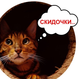 Обложка канала