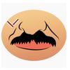Обложка канала @UsyLukashenko