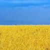 Обложка канала @politicaNew