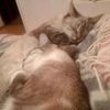 Обложка канала @liveglory