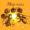 Обложка канала @Worldofbee