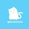 Обложка канала @murrgram
