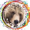 Обложка канала @mansurbear