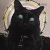 Обложка канала @saintpaw