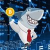 Обложка канала @rocket_shark