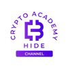 Обложка канала @Crypto_Academy_Hide