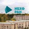 Обложка канала
