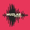 Обложка канала @muzlabproject