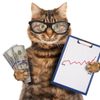 Обложка канала @catfromwallstreet